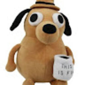 Meet your Posher, Carolyn